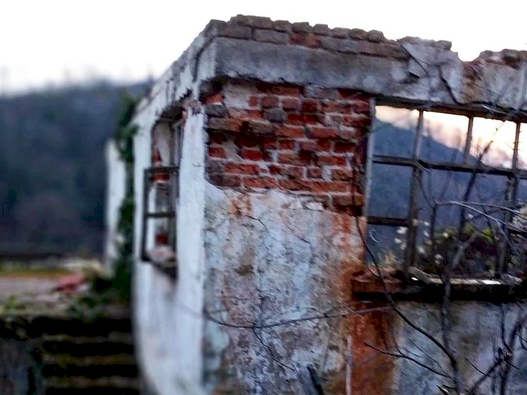 Bahar Solukları