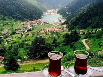 Edebiyat Öğretmenidir Herhalde