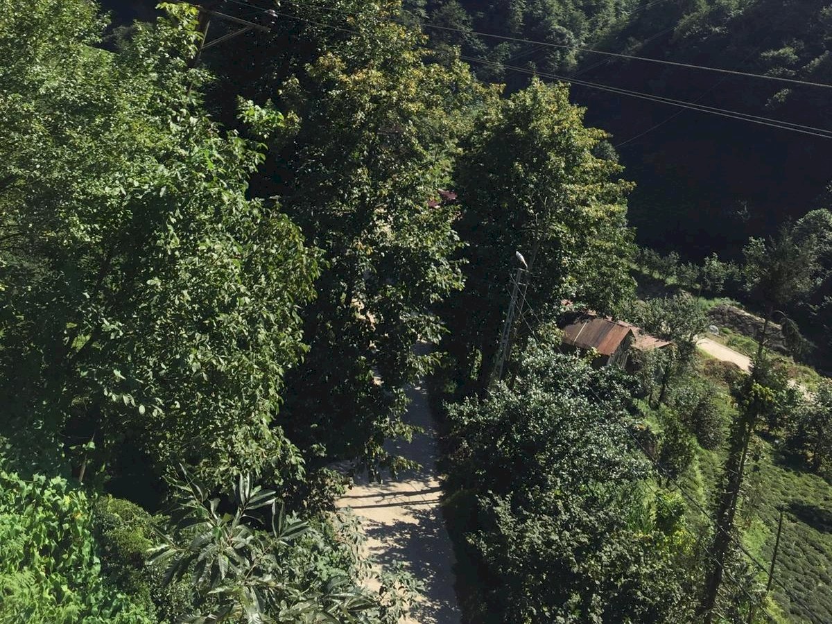 Karadeniz Kadını