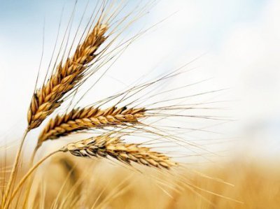 Peygamberleri Cidden Tanıyor Musun?