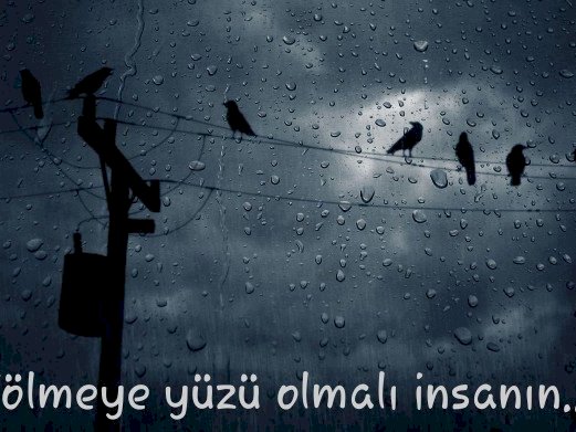İnsan Çokça Ölüm Ve Bir De Yaşamdır