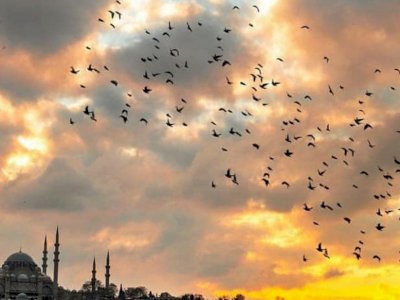 Karmaşık Tablo