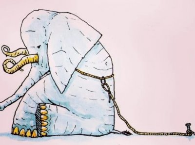Seligman'ın Öğrenilmiş Çaresizlik Deneyi/ Çaresizlikle Baş Etme Yolları